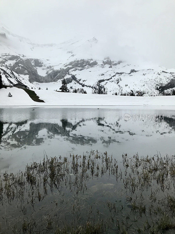 瑞士Vaud- Lac reaud州的冬天